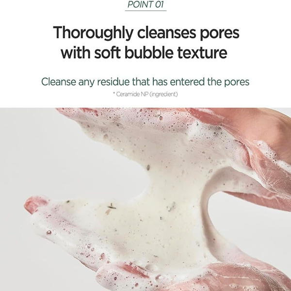 Anua Heartleaf Quercetinol Facial Deep Pore Cleansing Foam For Oily & Combination Skin 150ml